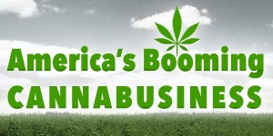 america's booming cannabusiness logo_02