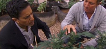 Le docteur Sanjay Gupta reconnaît s’être trompé sur le cannabis