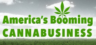 Reportage sur l’essor du marché US du cannabis thérapeutique