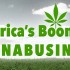 Reportage sur l’essor du marché US du cannabis thérapeutique