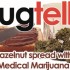 Ferrero va poursuivre Nugtella, le Nutella au cannabis californien