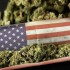 Etats-Unis: 5 nouveaux Etats devraient bientôt légaliser le cannabis à usage médical ou récréatif