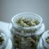 L’expérimentation du cannabis thérapeutique en France va démarrer dans les prochaines semaines