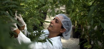 Le New Hampshire est le 19ème Etat Américain à légaliser le cannabis médical
