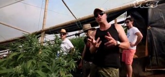 Le Roi du Cannabis: Reportage sur Arjan Roskam, le fondateur de la célèbre marque Green House