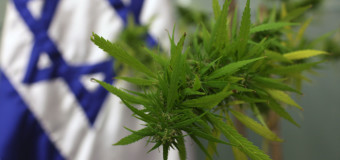 Video: La révolution du cannabis médical en Israël