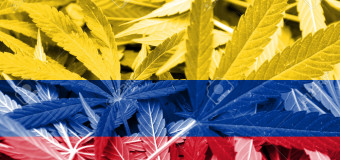 La Colombie légalise le cannabis à usage médical.