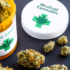 USA: Le NIH investit 3 millions de dollars pour étudier l’efficacité du Cannabis dans le traitement de la douleur