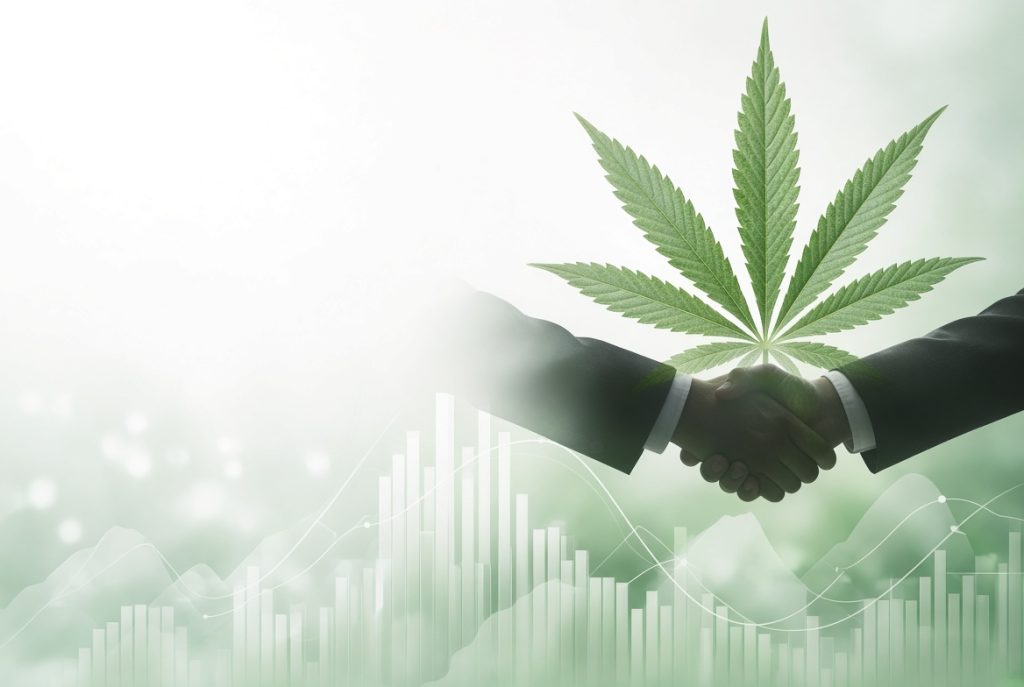 Curaleaf tente une OPA hostile sur Aurora Cannabis : une opération à 272 millions de dollars qui redistribue les cartes du secteur