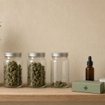 Faillite de Bedrocan aux Pays-Bas : bocaux de fleurs de cannabis médical sur étagère en bois clair, l’un presque vide, flacon ambré et boîte à croix verte